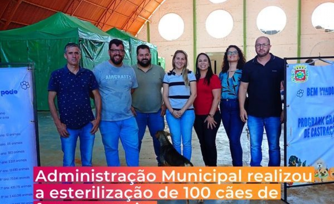 Realizada A Esterilização De 100 Cães - Machos E Fêmeas