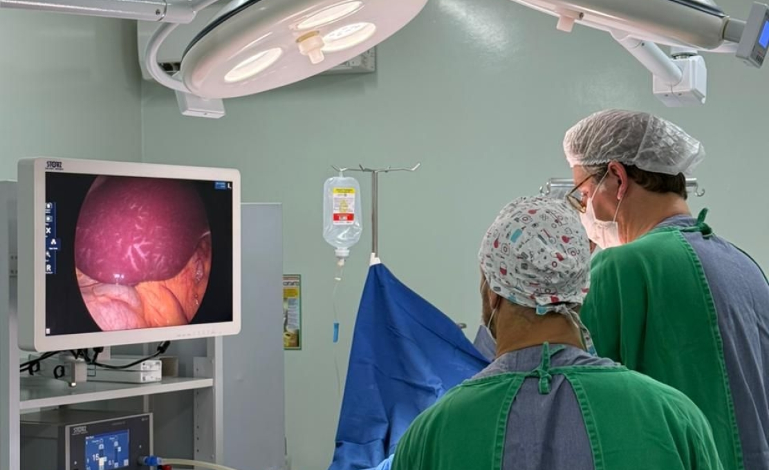 Clevelândia Avança Em Mais Uma Etapa De Cirurgias Eletivas Com Procedimentos Modern...